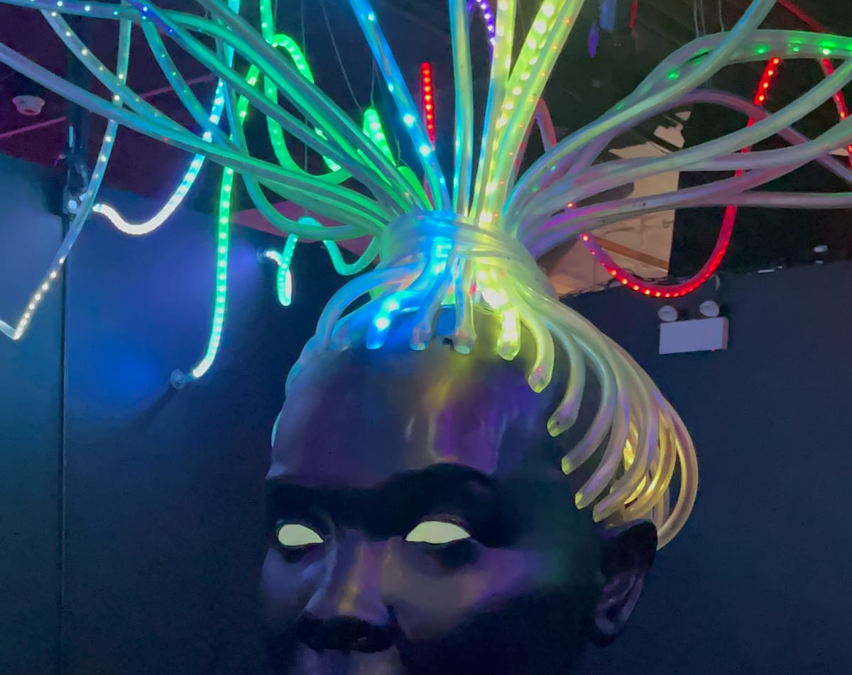 Shani Crowe DOME Exhibit at WNDR Museum Chicago