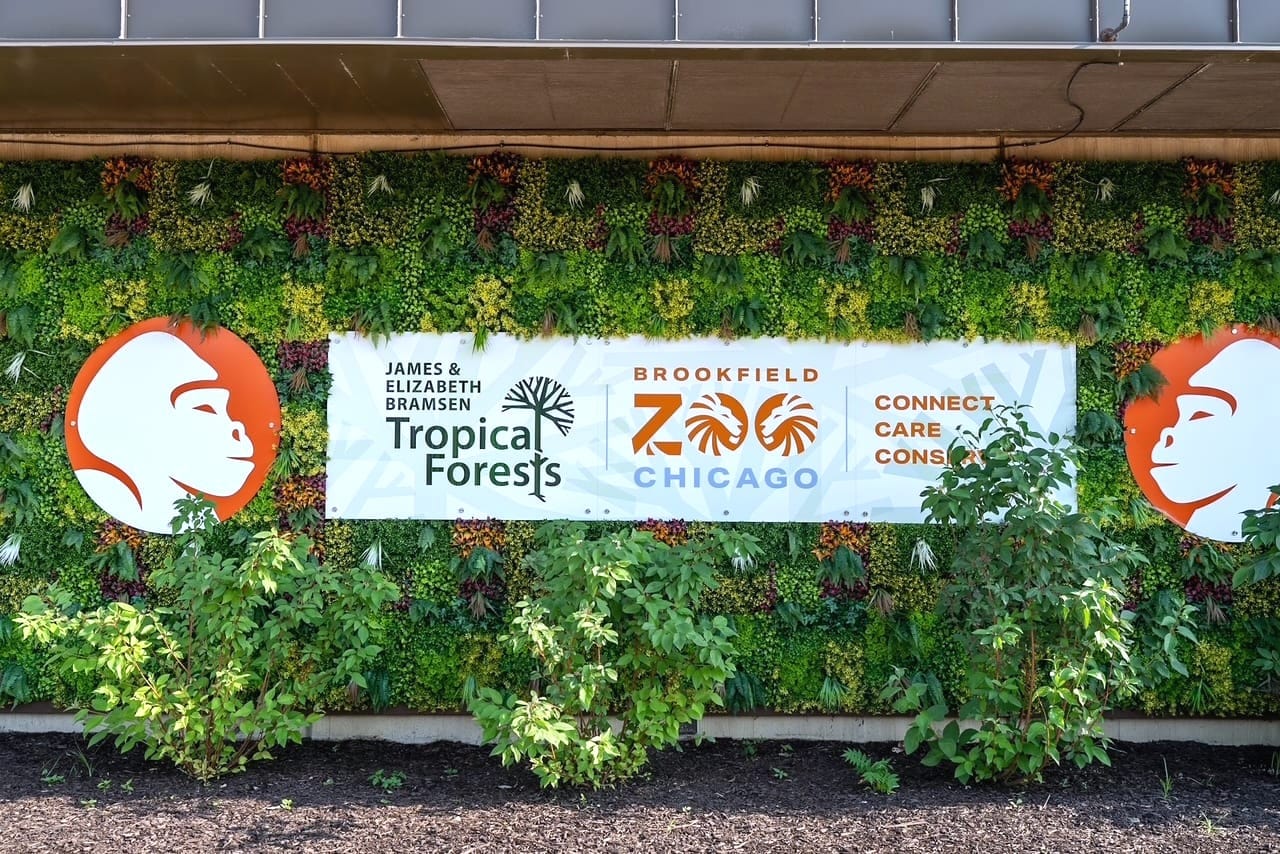 A Tropical Escape Just Opened at Brookfield Zoo